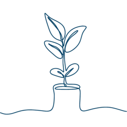 Minimal single-line illustration of a young potted plant with four leaves, symbolizing growth and stewardship for Give With Click’s transparent, flat-fee school fundraising.
