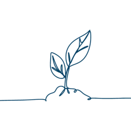 Minimal line drawing of a sprout with two leaves emerging from soil—symbolizing growth on Give With Click’s school fundraising platform.